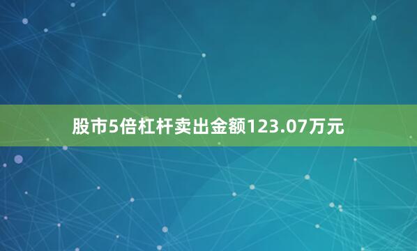 股市5倍杠杆卖出金额123.07万元