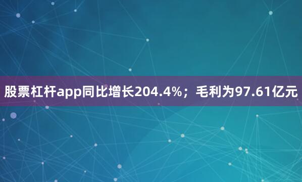 股票杠杆app同比增长204.4%；毛利为97.61亿元